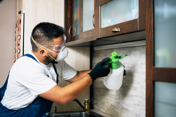 Best Pest Prevention Services  in Osceola, IN